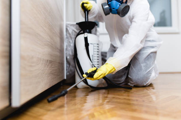 Best Rat Extermination Near Me  in Seis Lagos, TX
