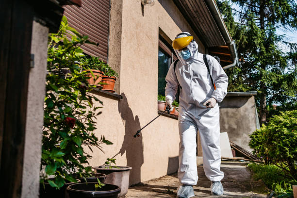Best Best Pest Control Companies  in Seis Lagos, TX