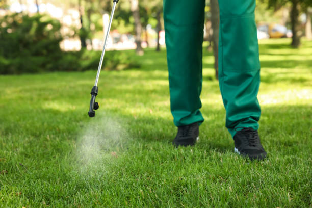 Best Pest Control Near Me  in Seis Lagos, TX