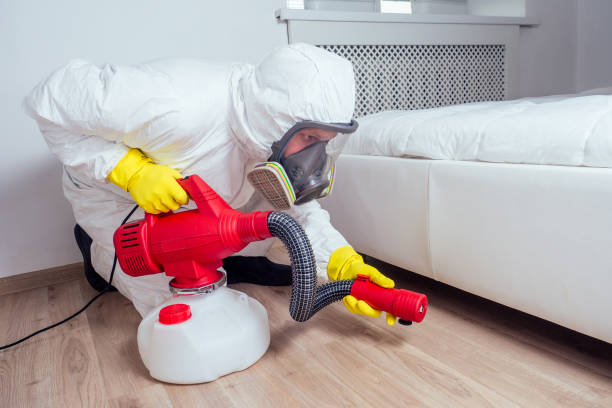 Best Emergency Pest Control  in Seis Lagos, TX