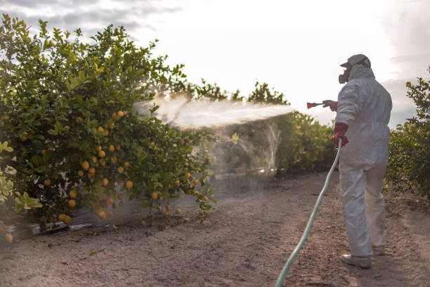 Best Residential Pest Control  in Seis Lagos, TX