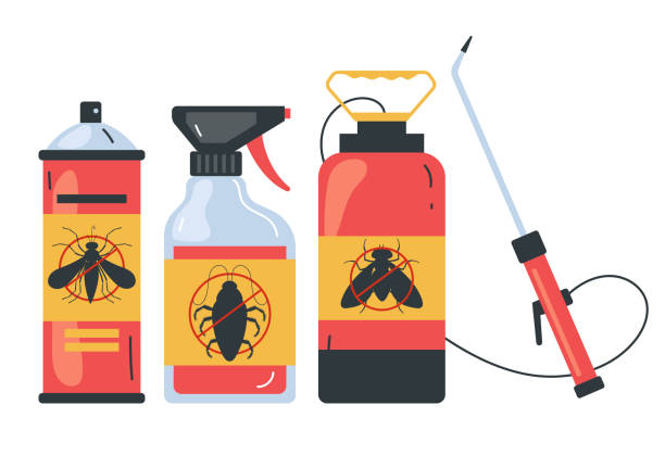 Best Insect Control  in Seis Lagos, TX