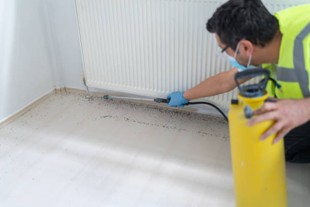 Reliable Seis Lagos, TX Pest Control Solutions